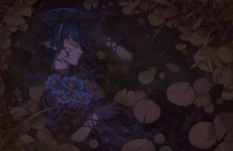 Meconopsis